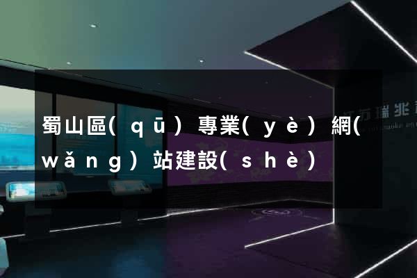 蜀山區(qū)專業(yè)網(wǎng)站建設(shè)