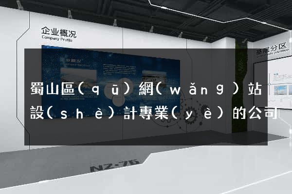 蜀山區(qū)網(wǎng)站設(shè)計專業(yè)的公司