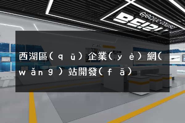 西湖區(qū)企業(yè)網(wǎng)站開發(fā)