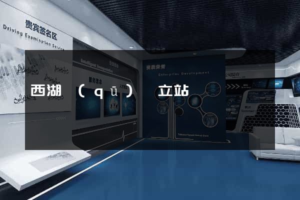 西湖區(qū)獨立站運營