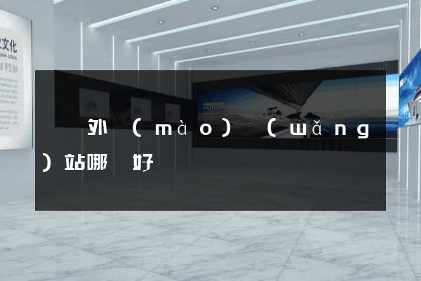 設計外貿(mào)網(wǎng)站哪個好