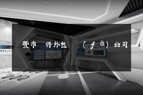 諸暨市軟件外包開發(fā)公司