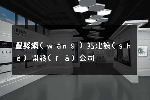豐縣網(wǎng)站建設(shè)開發(fā)公司
