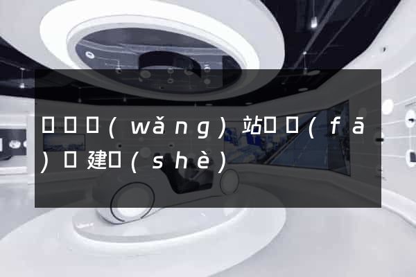 豐縣網(wǎng)站開發(fā)與建設(shè)