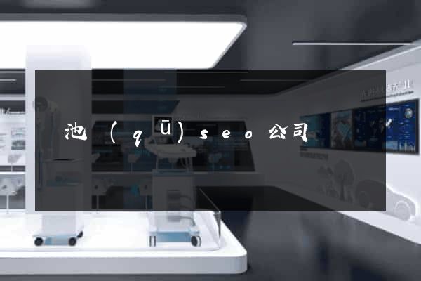 貴池區(qū)seo公司
