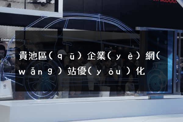 貴池區(qū)企業(yè)網(wǎng)站優(yōu)化