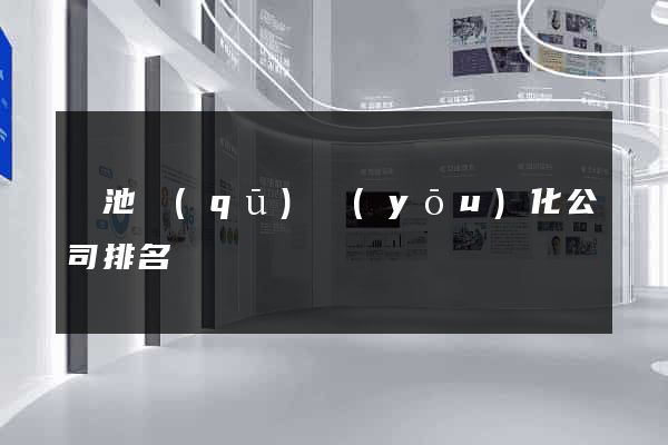 貴池區(qū)優(yōu)化公司排名