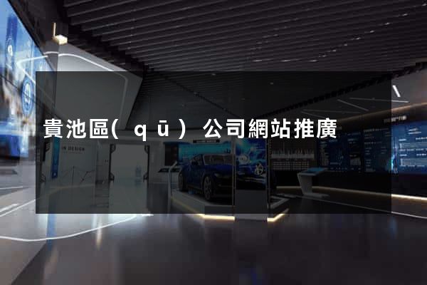 貴池區(qū)公司網站推廣