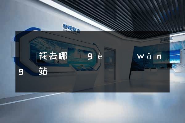 買鮮花去哪個(gè)網(wǎng)站