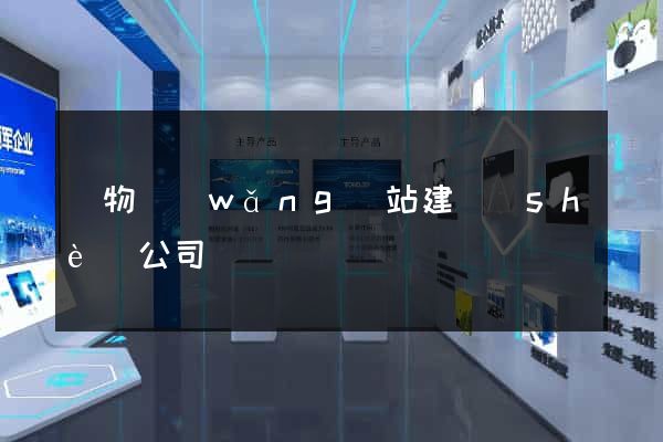 購物網(wǎng)站建設(shè)公司