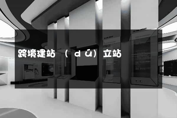 跨境建站獨(dú)立站