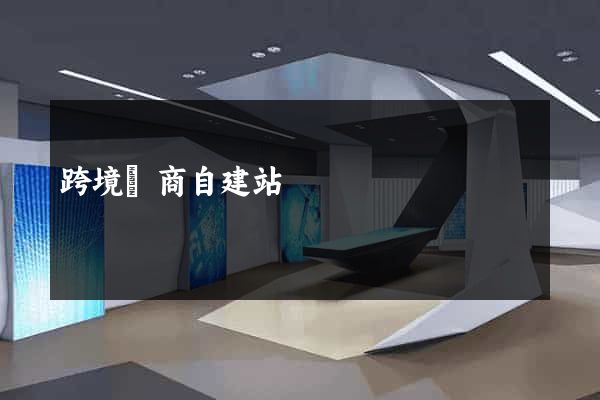 跨境電商自建站