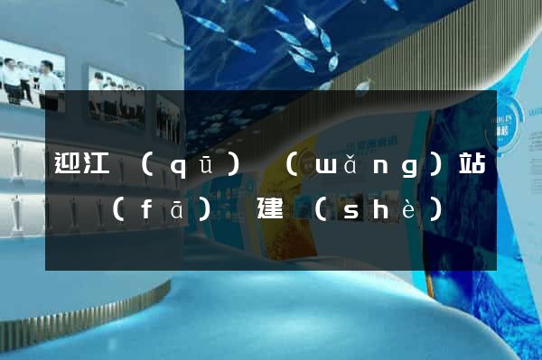 迎江區(qū)網(wǎng)站開發(fā)與建設(shè)