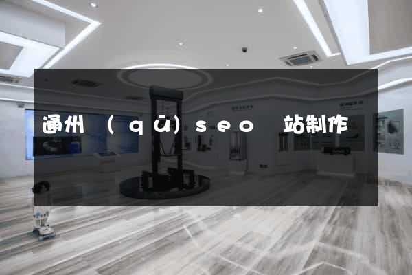 通州區(qū)seo網站制作