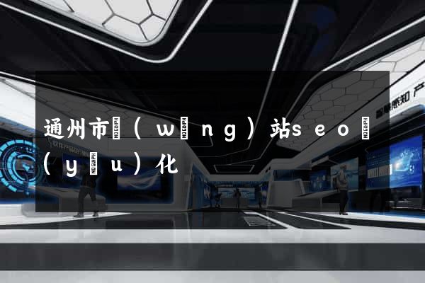 通州市網(wǎng)站seo優(yōu)化