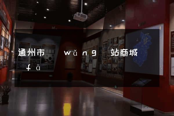 通州市網(wǎng)站商城開發(fā)