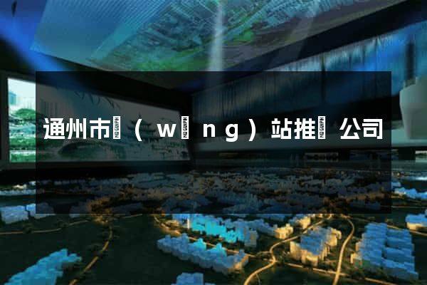 通州市網(wǎng)站推廣公司