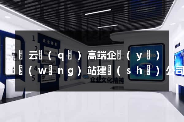連云區(qū)高端企業(yè)網(wǎng)站建設(shè)公司