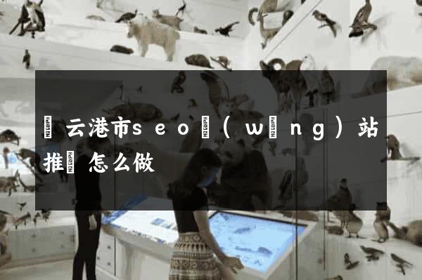 連云港市seo網(wǎng)站推廣怎么做