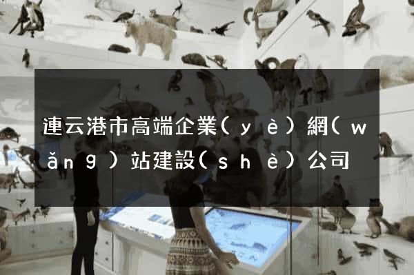連云港市高端企業(yè)網(wǎng)站建設(shè)公司