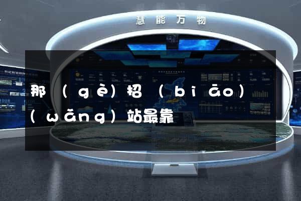 那個(gè)招標(biāo)網(wǎng)站最靠譜