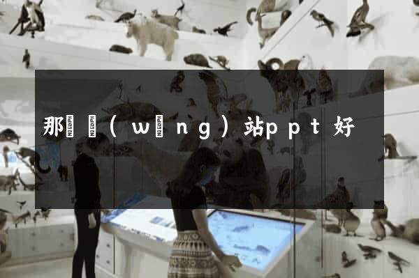 那個網(wǎng)站ppt好