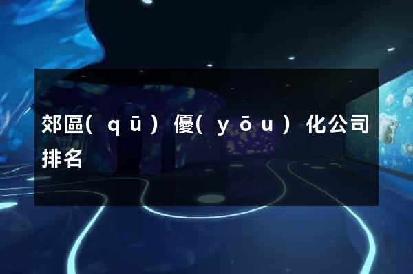 郊區(qū)優(yōu)化公司排名