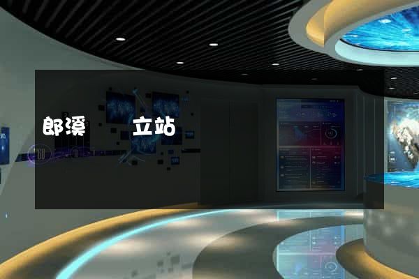 郎溪縣獨立站運營