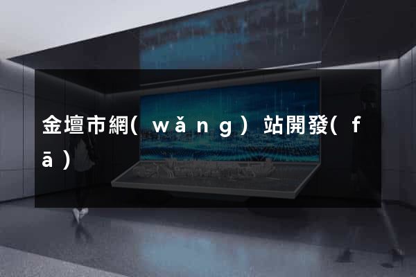 金壇市網(wǎng)站開發(fā)