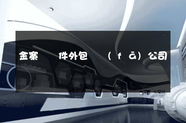 金寨縣軟件外包開發(fā)公司