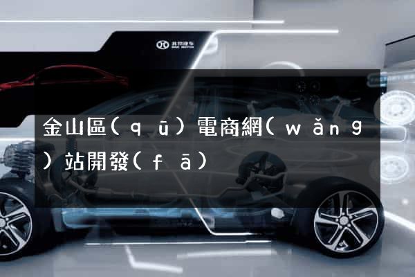 金山區(qū)電商網(wǎng)站開發(fā)