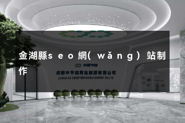 金湖縣seo網(wǎng)站制作