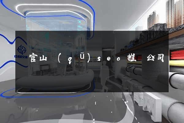 銅官山區(qū)seo推廣公司