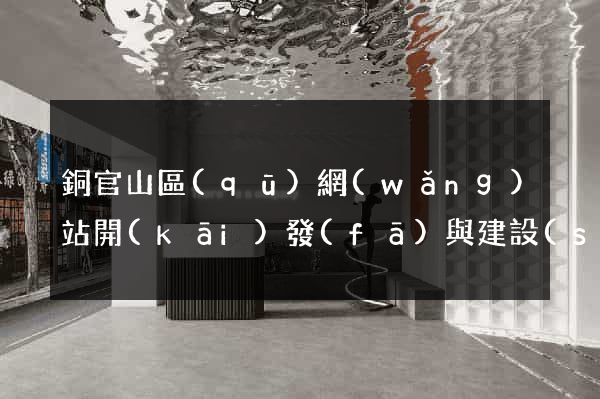 銅官山區(qū)網(wǎng)站開(kāi)發(fā)與建設(shè)