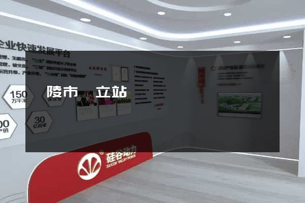 銅陵市獨立站運營