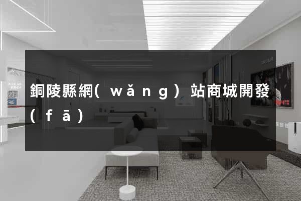 銅陵縣網(wǎng)站商城開發(fā)