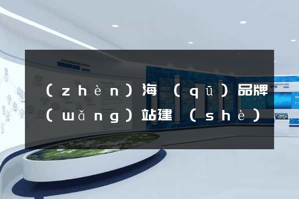 鎮(zhèn)海區(qū)品牌網(wǎng)站建設(shè)