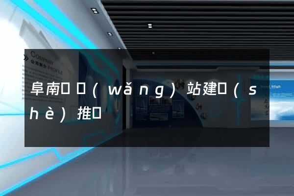阜南縣網(wǎng)站建設(shè)推廣