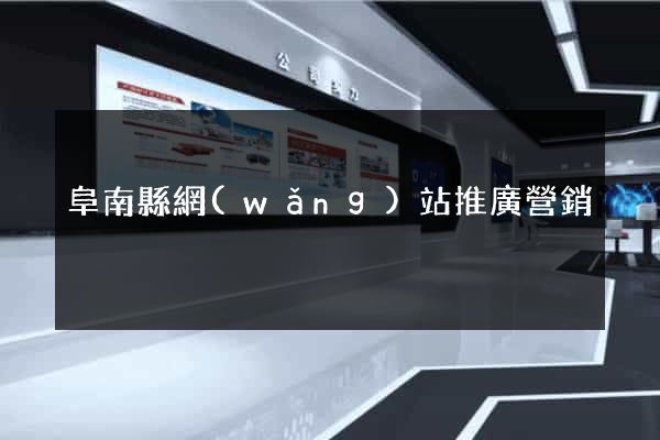 阜南縣網(wǎng)站推廣營銷