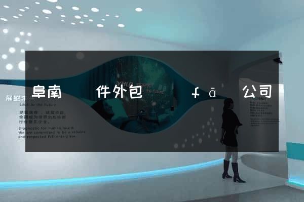阜南縣軟件外包開發(fā)公司