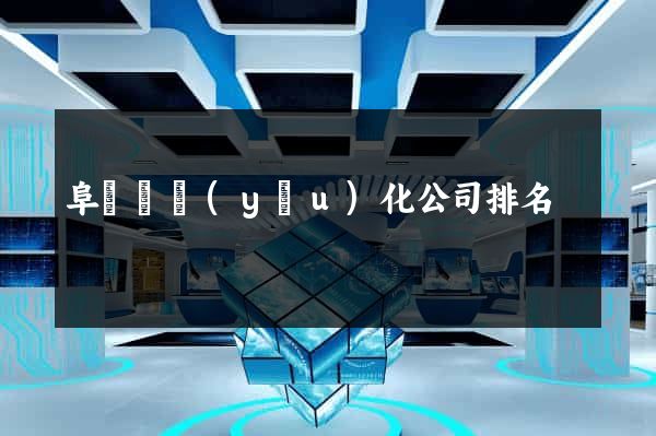 阜寧縣優(yōu)化公司排名