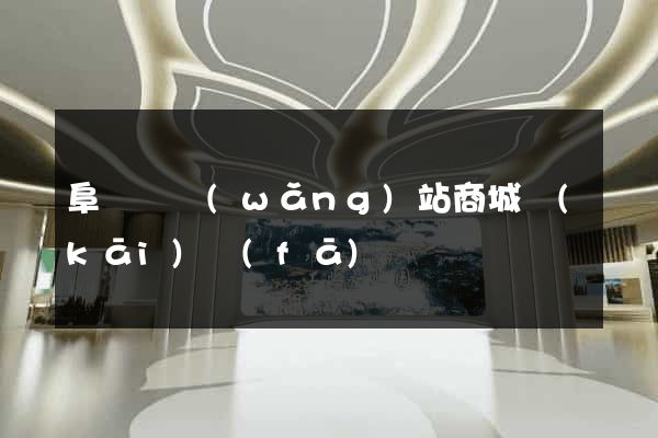 阜寧縣網(wǎng)站商城開(kāi)發(fā)