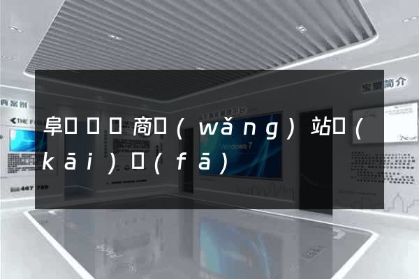 阜寧縣電商網(wǎng)站開(kāi)發(fā)