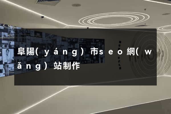 阜陽(yáng)市seo網(wǎng)站制作