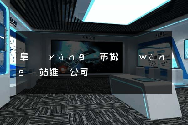 阜陽(yáng)市做網(wǎng)站推廣公司