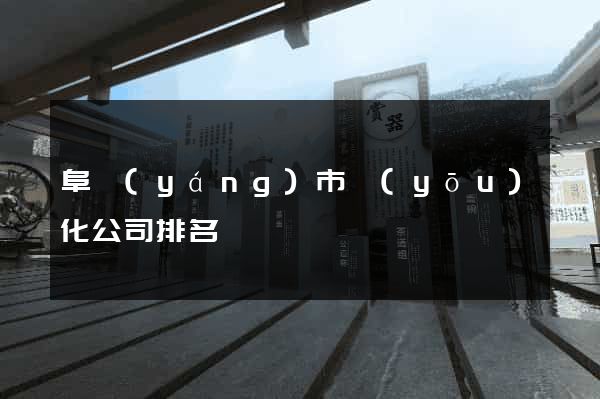 阜陽(yáng)市優(yōu)化公司排名