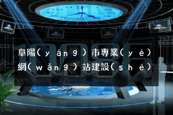 阜陽(yáng)市專業(yè)網(wǎng)站建設(shè)