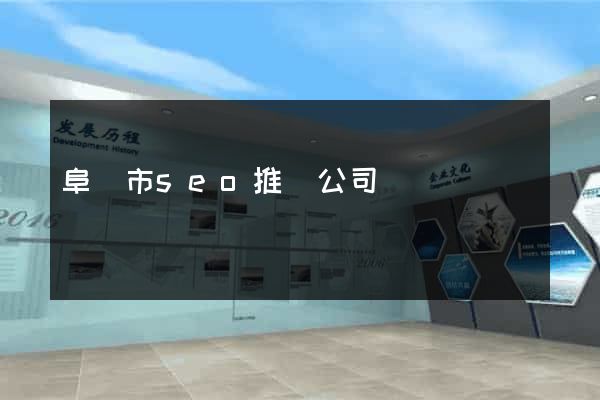 阜陽市seo推廣公司