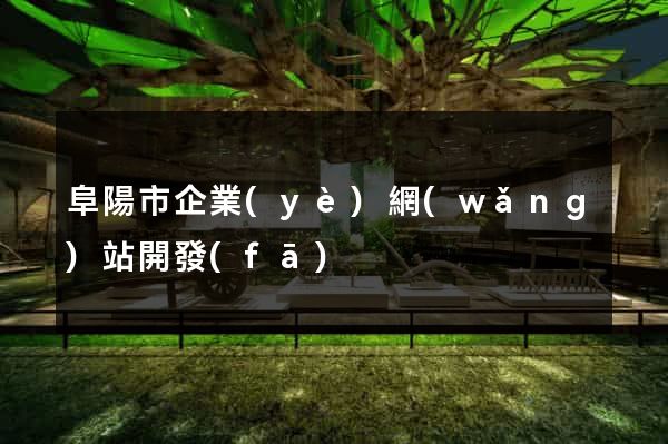 阜陽市企業(yè)網(wǎng)站開發(fā)