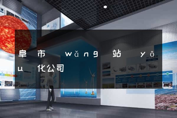 阜陽市網(wǎng)站優(yōu)化公司